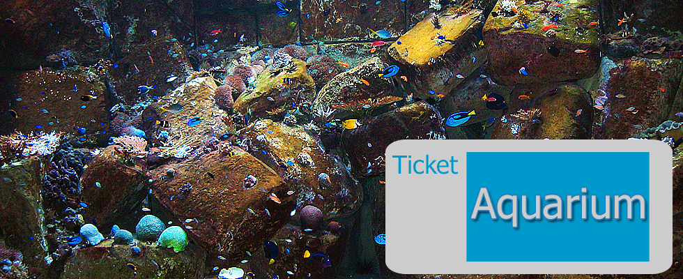 Aquarium Berlin Ticket