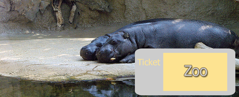 Zoo Berlin Ticket